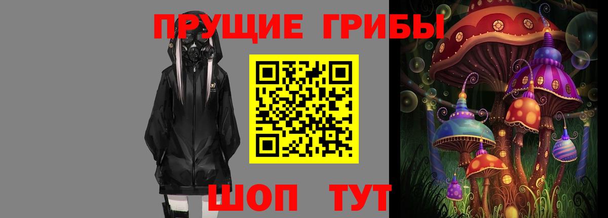 Галлюциногенные грибы Psilocybine cubensis  Псилоцибиновые грибы MAGIC MUSHROOMS  Чехов  Вход с VPN 