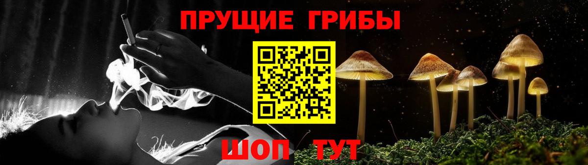 Псилоцибиновые грибы Psilocybe Чехов