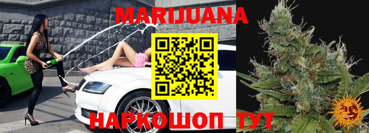 Канабис планчик Чехов